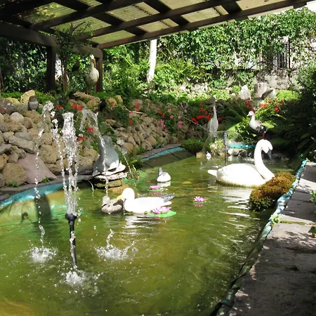 Miravalle-tre Cime Views Auronzo di Cadore